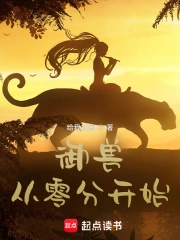 宠妻无度金牌相公
